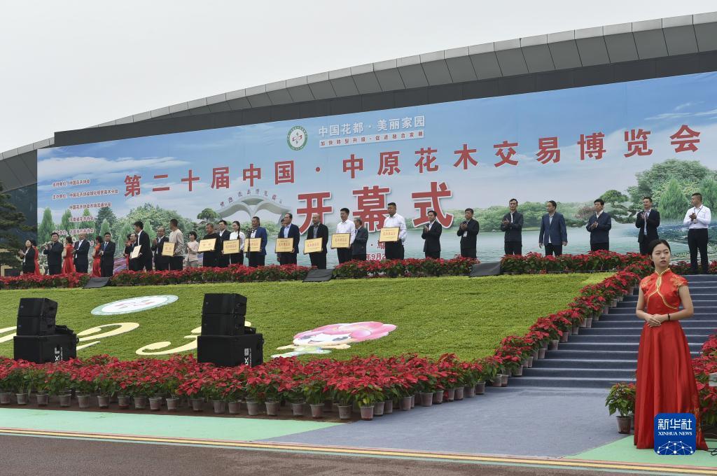 扑鱼达人单机版下载